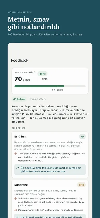 Metnin, sınav gibi notlandırıldı — 100 üzerinden bir puan, dört kriter ve her hatanın açıklaması.