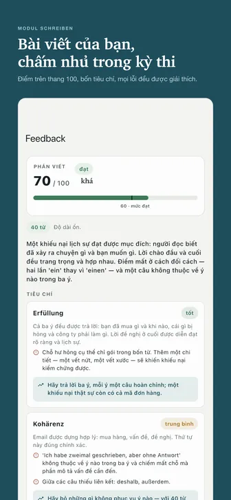 Bài viết của bạn, chấm như trong kỳ thi — Điểm trên thang 100, bốn tiêu chí, mọi lỗi đều được giải thích.